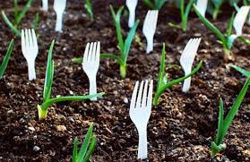 12 Trucs Naturels Et Economiques Pour Ameliorer Votre Jardin