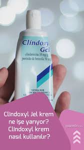 Clindoxyl Jel Krem Ne Ise Yariyor Clindoxyl Krem Nasil Kullanilir Krem Ise Yariyor Jelsa