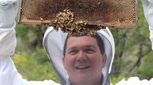 Sting in the tale of bees in 'crisis'