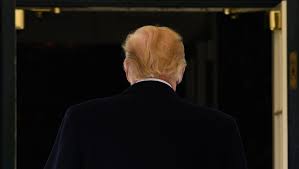 Fox news its protrump politics dissenters. Donald Trump Is A Cowardly Snowflake Enabled By Fox News And Republicans