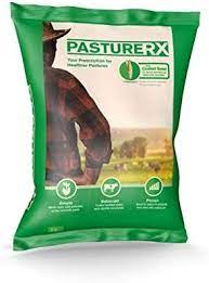 Amazon Com Pasturerx Premium Pasture Grass Seed Mix Forage Mixture For Livestock Cattle Sheep And Horses Non Gmo Formula 23 Lbs C Grass Seed Pasture Grass