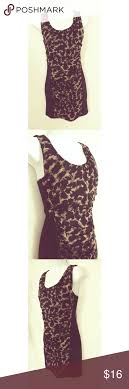 Plastic Island Dress Black Tan Cocktail Bodycon Super Cute Cocktail Dress From Plastic Island This Is A Stretchy Knit Fabric The Ruc Cute Cocktail Dresses Dresses Fashion