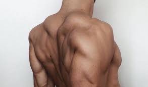 See more ideas about back muscles hot boys guys. Image Result For Anatomy Reference Man S Muscular Back Pinterest Body Photography Male Body Anatomy Reference