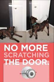 Then, wait a few seconds until he is quiet. Train Your Dog To Stop Scratching The Door And Door Jamb The Clawguard Is So Easy To Use Just Pop It Over A Dog Adventure Apartment Dogs Dog Scratching Door