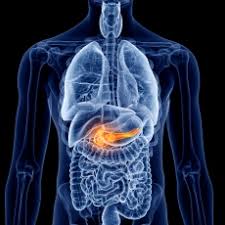 Pancreatic cancer can be hard to initially detect because of its vague symptoms. Pancreatic Cancer Medlineplus