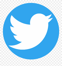 Blue twitter logo stockvideo på 30 fps. Transparent Background Twitter Logo Clipart 740310 Pinclipart