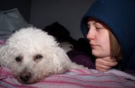 Katie Dinger's Instagram, Twitter & Facebook