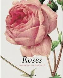 Rare redoute rosa noisettiana flower botanical white pink print art roses rose. The Roses By Pierre Joseph Redoute