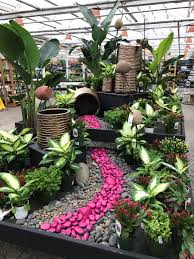 Easter Cactus Display At Molbak S Plant Nursery Garden Nursery Garden Center Displays