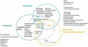 Image result for Warneckea cordiformis