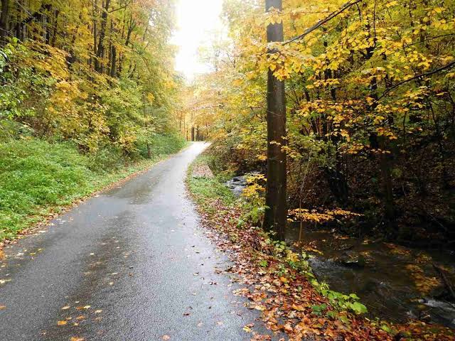 Dostupnost autem |