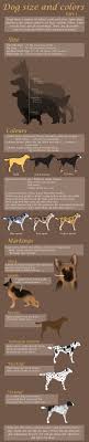 Dr may provides wellness exams, minor illness and injury exams, vaccinations, acupuncture, pet hospice care, gentle euthanasia and aftercare. Dog Size And Colors By Miosita On Deviantart Dog Anatomy Pet Vet Animal Science