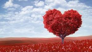 Image result for money VAELINTINE