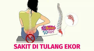 We did not find results for: Sakit Di Bahagian Tulang Punggung Ketika Hamil