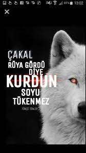 ramazan kurt adli kullanicinin kurtlar panosundaki pin havacilik sozleri guzel soz ilham verici sozler