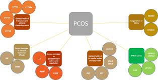 Genetic Basis Of Polycystic Ovary Syndrome Pcos Current Perspective Tacg