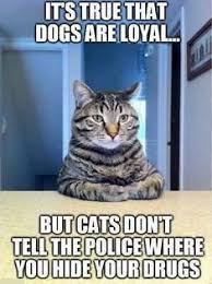 2 To The 1 To The 1 To The 3 Meme Originalpostcaption No Hashtags Follow Us For More Cbd Memes Mingo In 2020 Cat Quotes Funny Funny Animal Memes Funny Animal Quotes