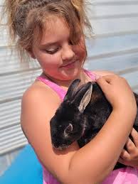 Introducing myself and sharing Funny Farm Rescue photo