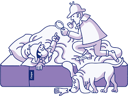 One Perfect Mattress Online Mattress Perfect Mattress Hybrid Mattress