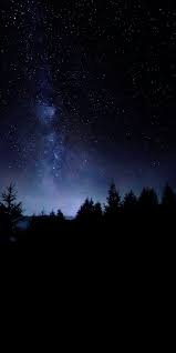 Pin By Najat On Animal Night Sky Wallpaper Dark Wallpaper Iphone Nature Wallpaper