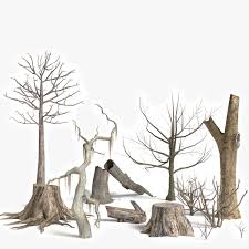 Dead Trees And Plants Collection 3d Model Trees To Plant Plants Plant Collection