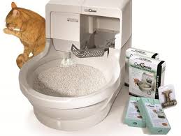 Caixa De Areia Grande Para Gatos Truques Para O Mau Cheiro Da Areia Do Gato Caixa De Areia Gato Gatos Areia De Gato