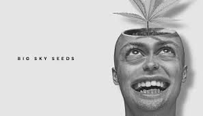 Big Sky Seeds