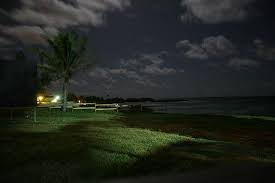 Great Moon And Stars And Sounds Of Nature Picture Of Ocean Spray Beach Apartments Barbados Tripadvisor