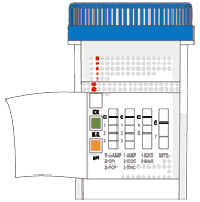 Icup Drug Screen Test Instructions