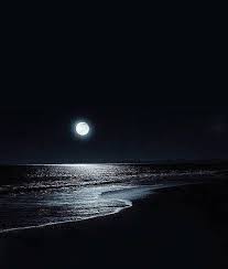 When designing a new logo you can be inspired by the visual logos found here. Gece Dolunay Yildizlar Icin 47 Fikir Gece Dolunay Yildiz