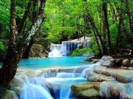 Beautiful waterfall in the rainforest. Rainforest Waterfall Wallpapers Top Free Rainforest Waterfall Backgrounds Wallpaperaccess