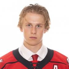 Owen Sound Attack 2024 Playoffs Official Statistics