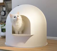 So, yes, you can go ahead and get yourself a. Are Orchids Safe For Cats Tuxedo Cat