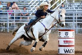 Plan your trip to the rodeo. Rodeo Horse Barrel Free Photo On Pixabay