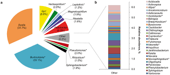 Taxonomic Classification Of Bacteria Associated With S