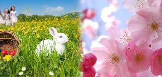 La multi ani ,felicitare pisica cu tortul si o floare /sclipitoare. La MulÈ›i Ani De Florii È™i De PaÈ™tele Catolic Frohe Ostern Kellemes Husveti Unnepeket Special Arad Ultimele È™tiri Din Arad