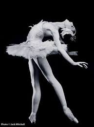 Black And White Swan Ballet The Swan People Dance Ballet Photos Ballet Tumblr Ballet Dancers