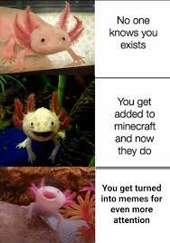Decorate your laptops, water bottles, . Axolotl Minecraftmemes