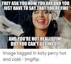 They Ask You How You Are And You Just Have To Say That You Re Fine And You Re Not Realy Fine But You Can T Getintoit Image Tagged In Katy Perry Hot And Cold
