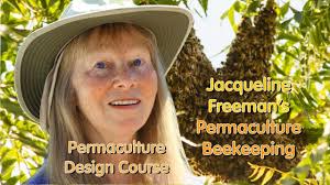 Permaculture Beekeeping with Jacqueline Freeman