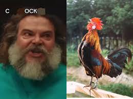 Steven, ¿cómo llamas a un "chicken jockey" sin jockey y que además sea  hombre? : r/SpeedOfLobsters