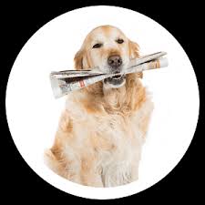 Our store also offers grooming, training, adoptions and curbside pickup. The Most Trusted Tucson Veterinarian Santa Cruz Veterinary Clinic