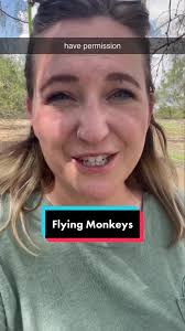 Flying monkeys-you don’t have to be the bigger person #permission #toxicmom  #toxicfamily #toxicdynamics #youarefree #toxicmomrecovery