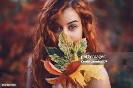 5,957 Long Leaves Closeup Stock Photos, High-Res Pictures, and Images