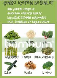 Cinko Iceren Besinler Bambum Blog Blog Bambum Com Tr Saglikli Saglikli Gidalar Beslenme