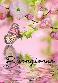 Buongiorno caffè auguri di buongiorno buon giorno citazioni citazioni buongiorno messaggi mattutini buongiorno saluti buona domenica foto di.buongiorno,buon lunedi e buon inizio settimana. Immagini Buongiorno Con Fiori E Farfalle