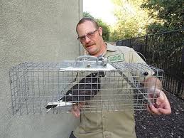 Pestcontrolbird Com Nationwide Bird Control