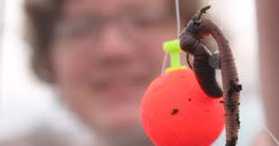 Wiggly nightcrawlers are a classic bait for catching lunkers