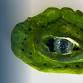 Dragon Eyes & Potions