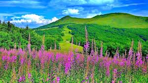 We have 83+ amazing background pictures carefully picked by our community. Spring Nature Wallpapers Group 75